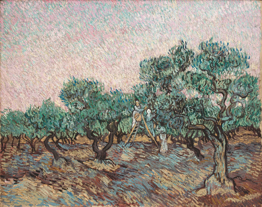 Zeytin Hasadı - Vincent van Gogh