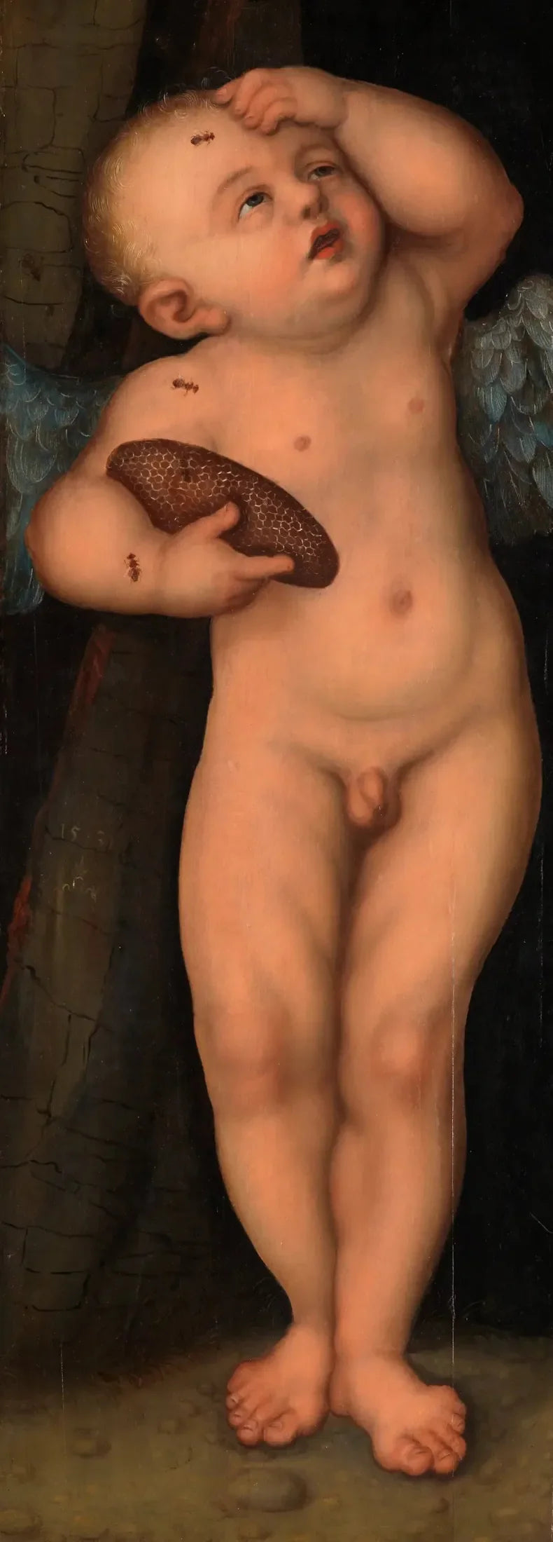 Bal Hırsızı Gibi Aşık - Lucas Cranach the Elder