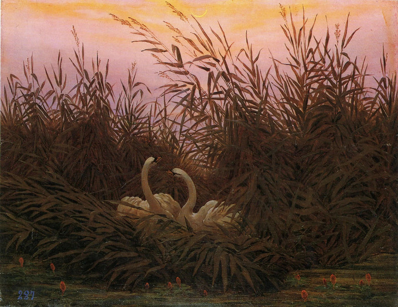 Sazlıklardaki Kuğular - Caspar David Friedrich