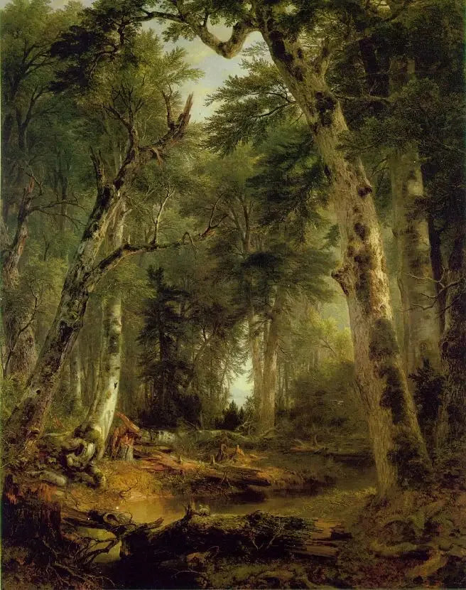Ormanda - Asher Brown Durand