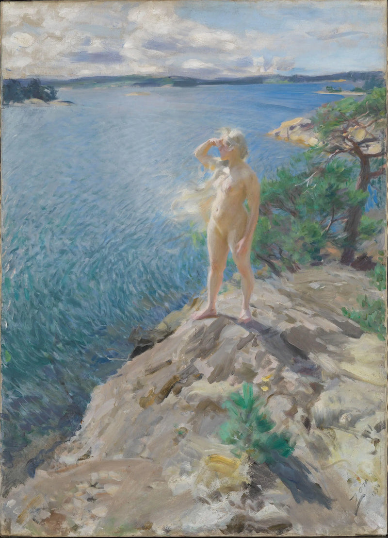 Skerries'de - Anders Zorn