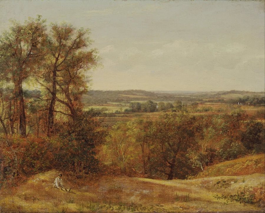 Dedham Valesi - John Constable