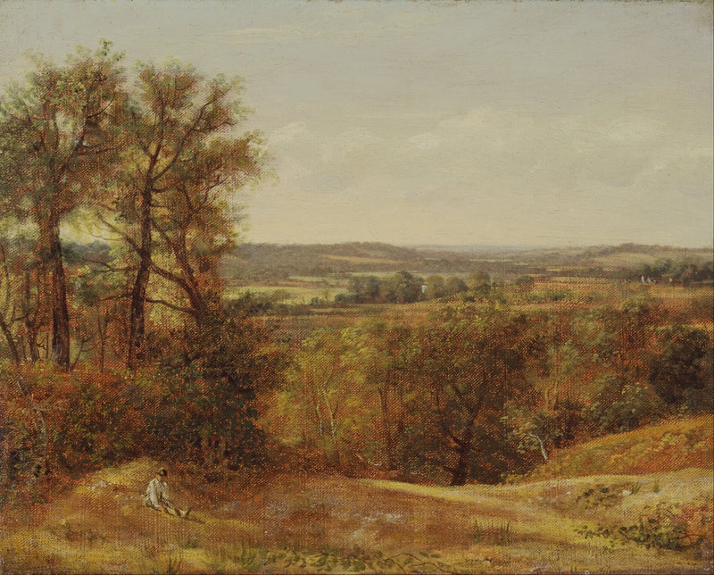 Dedham Valesi - John Constable