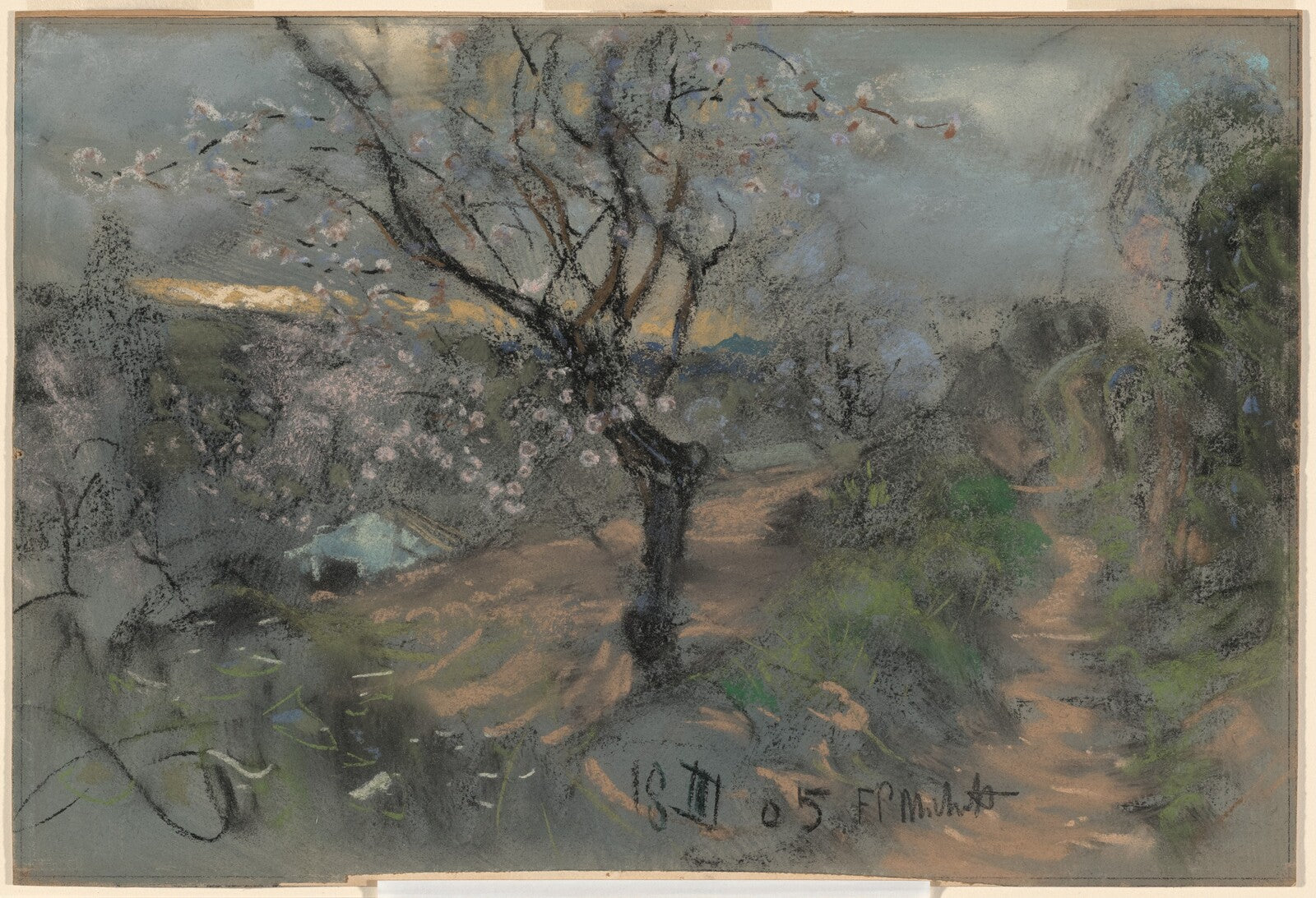 A Hillside Path with Blooming Cherry Trees under an Overcast Sky, Francesco Paolo Michetti, 1905 — pastel, National Gallery of Art