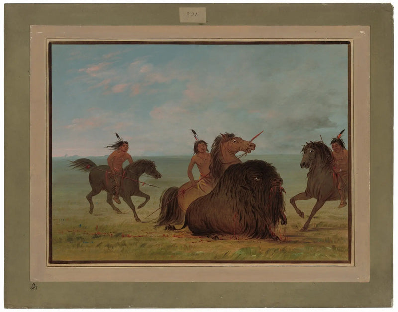 Camanchees erkek bizonunu salıyor - George Catlin