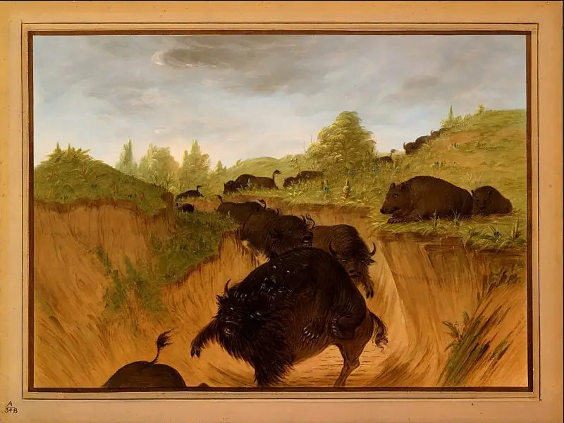 Grizzlisler, bizonlara saldırıyor - George Catlin
