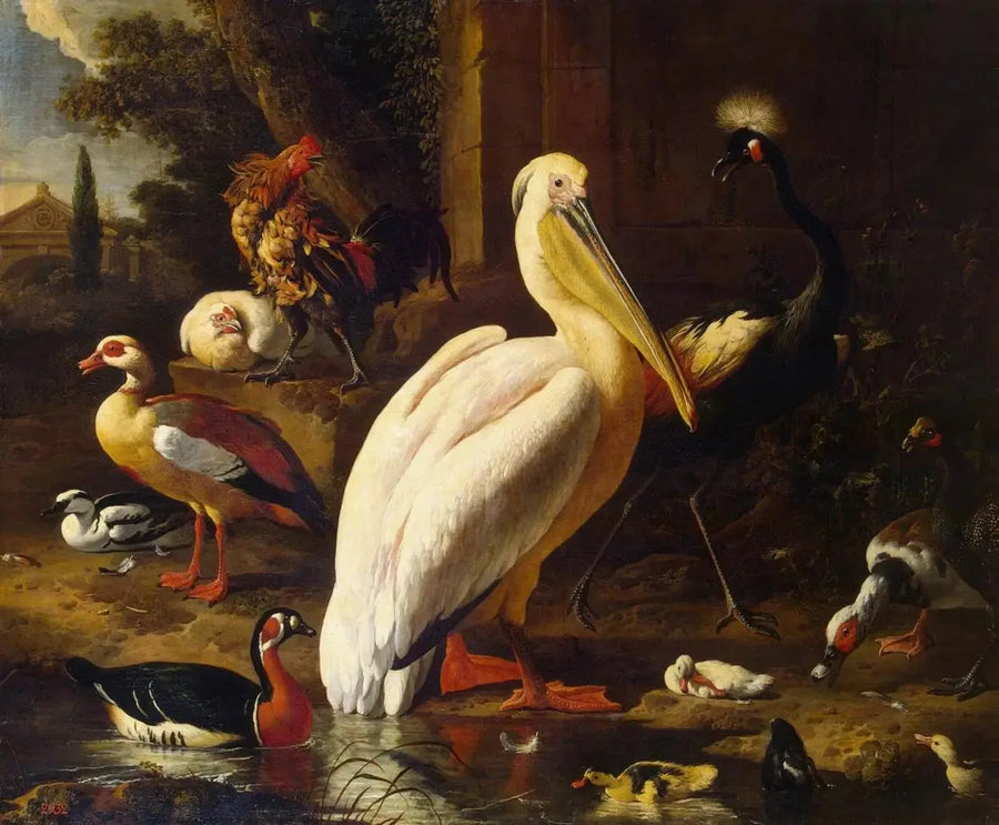 Bir parkta kuşlar - Melchior de Hondecoeter