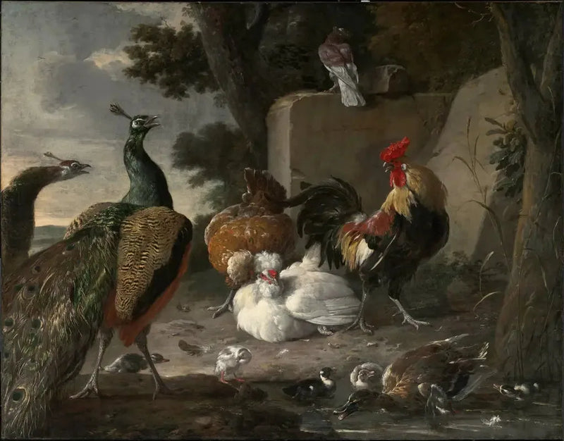 Bir kümes hayvanlarıyla birlikte peacocklar - Melchior de Hondecoeter