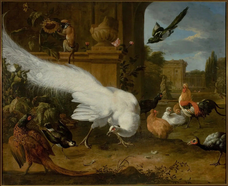 Bir kümes hayvanları ve beyaz bir tavuskuşu - Melchior de Hondecoeter