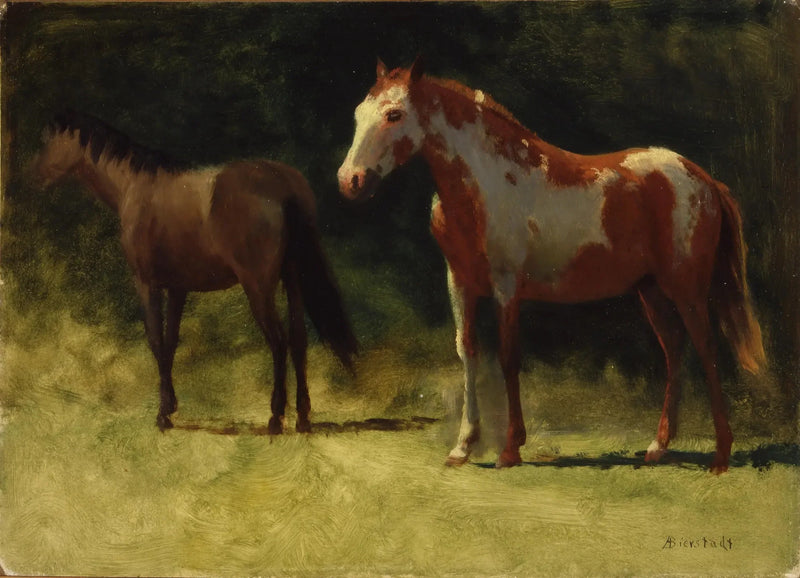 İki At - Albert Bierstadt