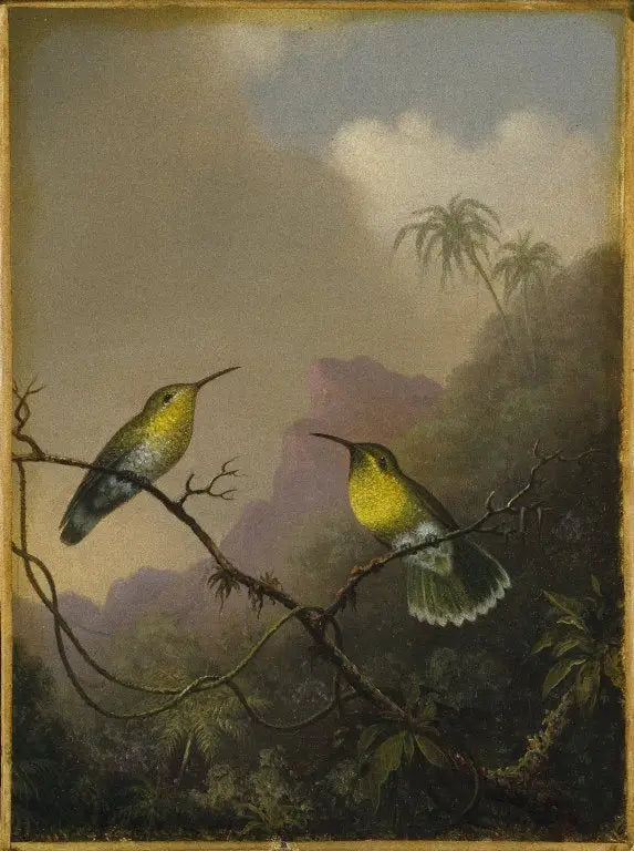 İki kolibri: bakır kuyruklu amazili - Martin Johnson Heade