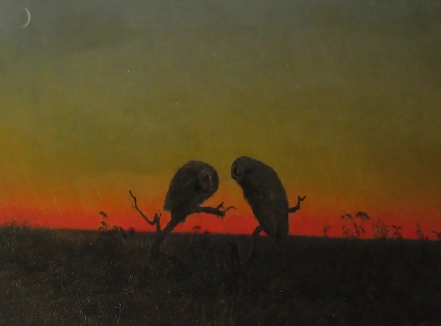 Gün batımında iki baykuş - Martin Johnson Heade