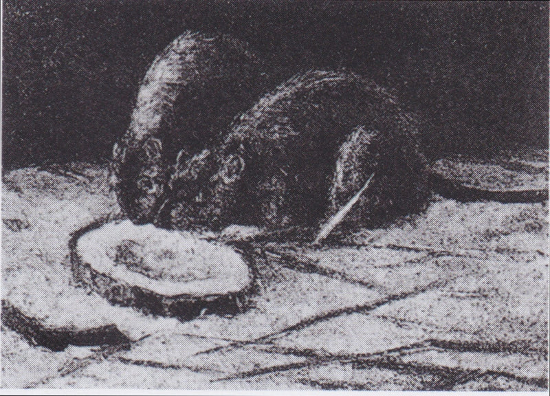İki Fare - Vincent van Gogh