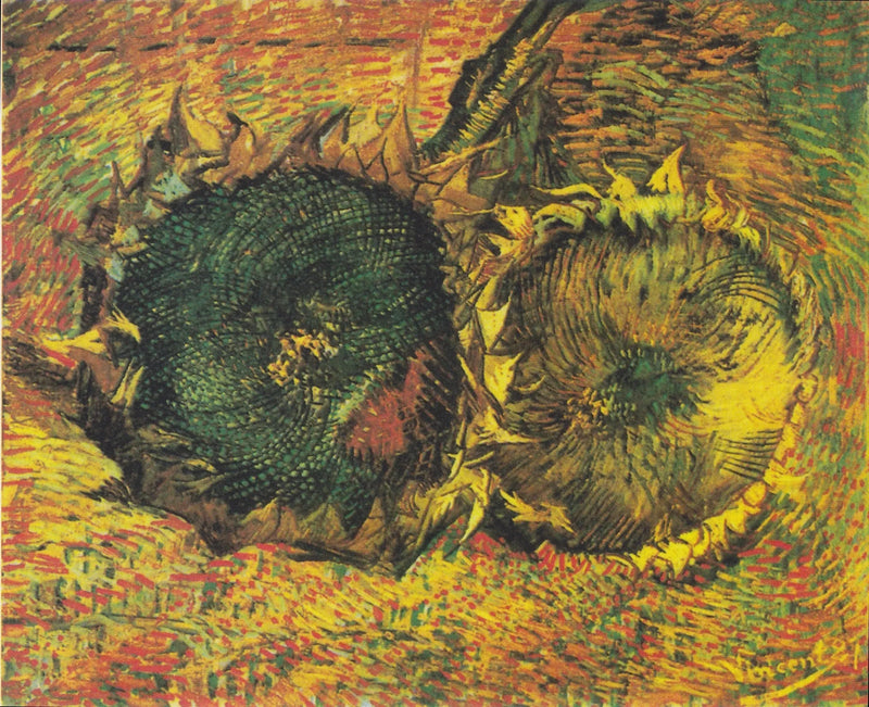İki Kesilmiş Ayçiçeği - Vincent van Gogh