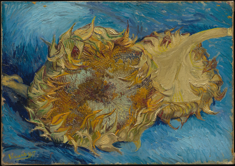 İki Ayçiçeği - Vincent van Gogh