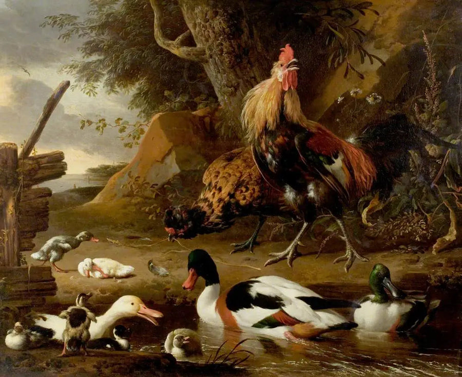 İki kümes hayvanı ve ördekler bir gölet üzerinde - Melchior de Hondecoeter