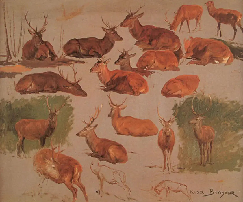 Dix-neuf études de cerfs - Rosa Bonheur - Alpha Reproduction