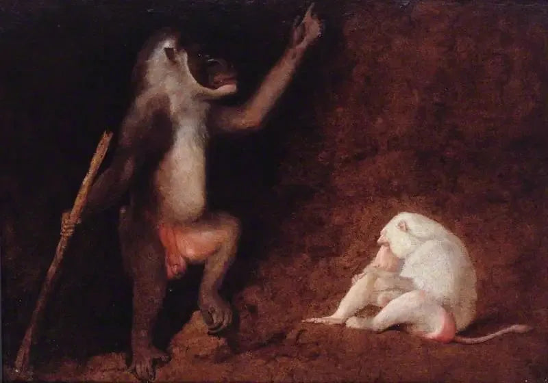 Matkap ve albino baboon - George Stubbs