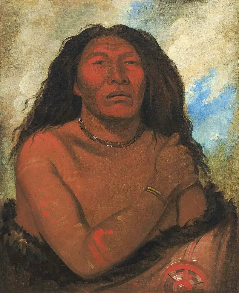 Duhk-gits-o-ó-see, Ours Rouge, seçkin bir savaşçı - George Catlin