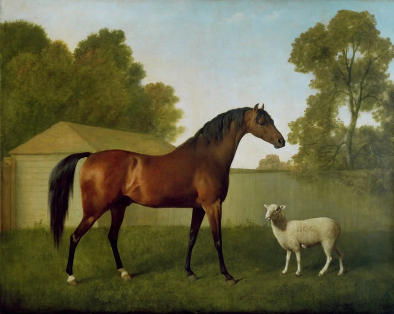 Dungannon, colonel O'Kelly'nin mülkü, bir çayırda bir koyunla birlikte resmedilmiş - George Stubbs