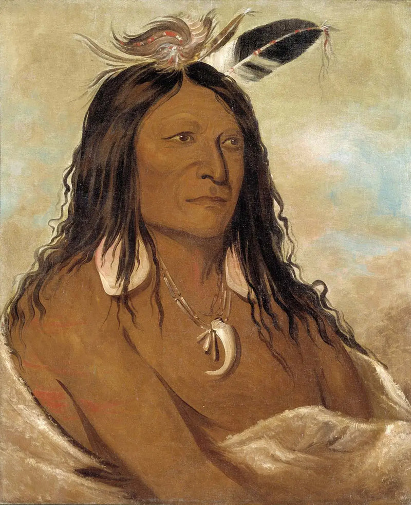 Eé-shah-kó-nee, Yay ve kalkan, Kabile başkanı - George Catlin
