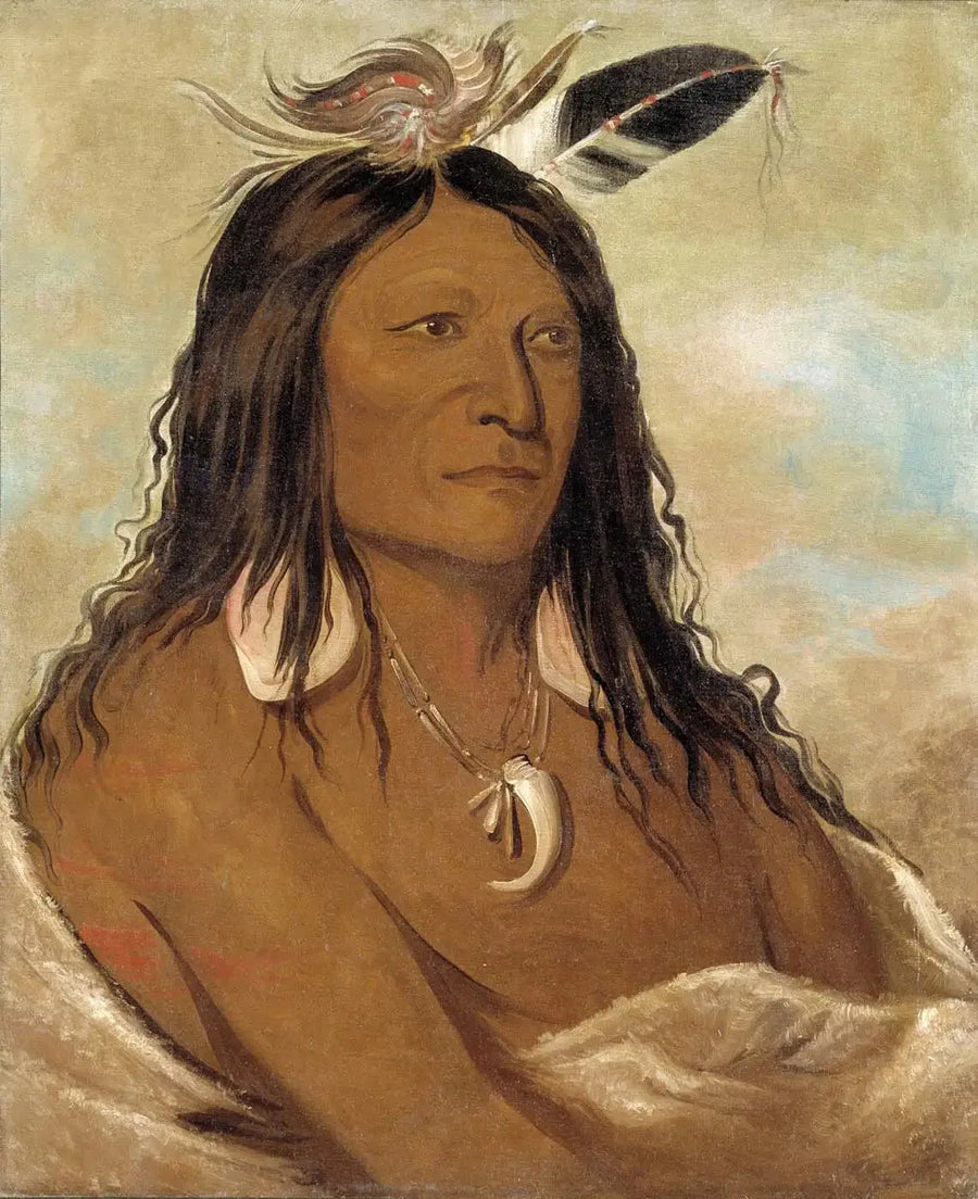 Eé-shah-kó-nee, Yay ve kalkan, Kabile başkanı - George Catlin