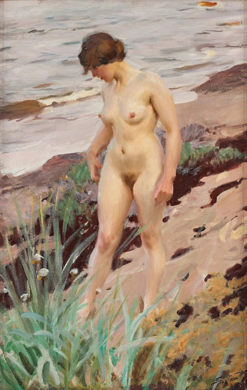 Sandhamn Efekti - Anders Zorn