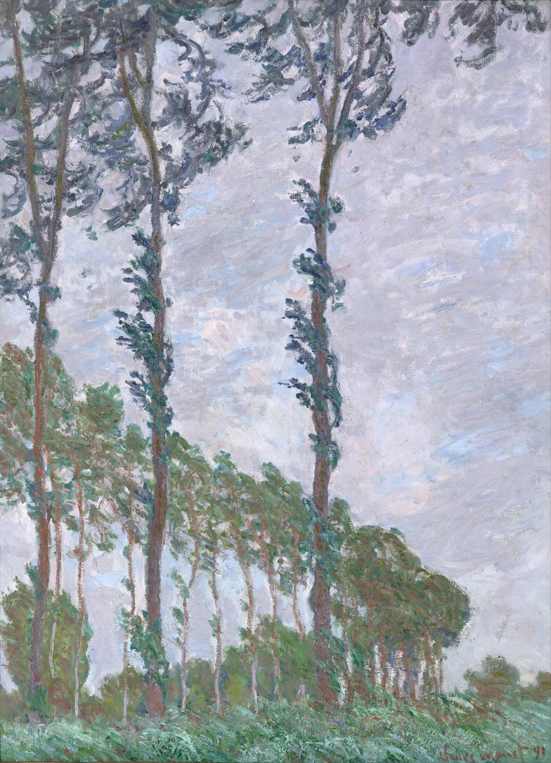 Rüzgar efekti, Kavaklar serisi W1302 - Claude Monet