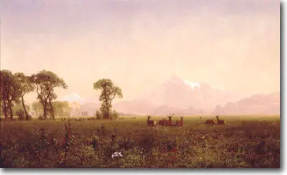 Wind River bölgesinde otlayan ceylanlar - Albert Bierstadt