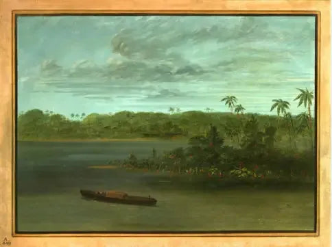 Rio Purus Ağızlığı - George Catlin