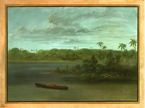 Rio Purus Ağızlığı - George Catlin