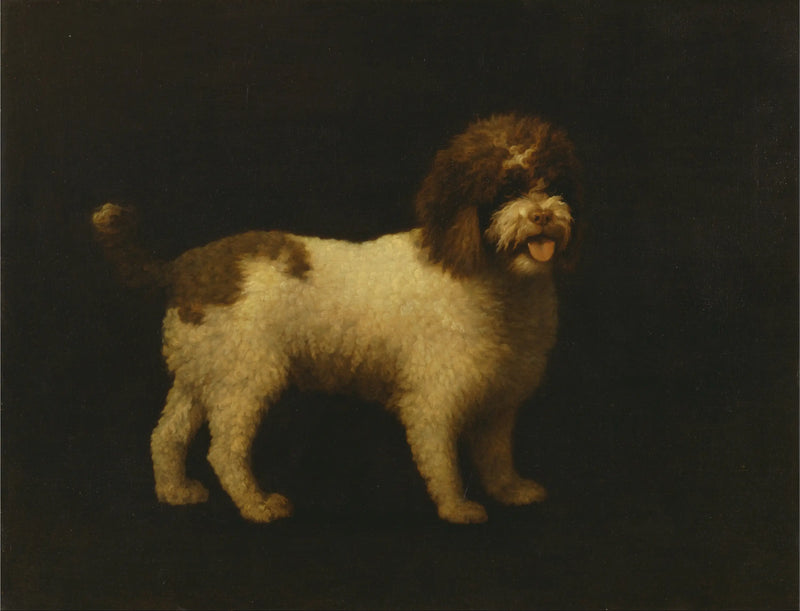 Su Spanieli - George Stubbs