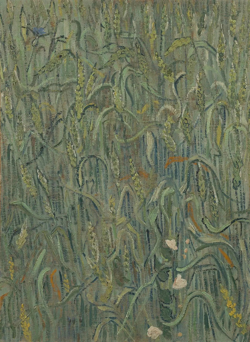Buğday başakları - Vincent van Gogh