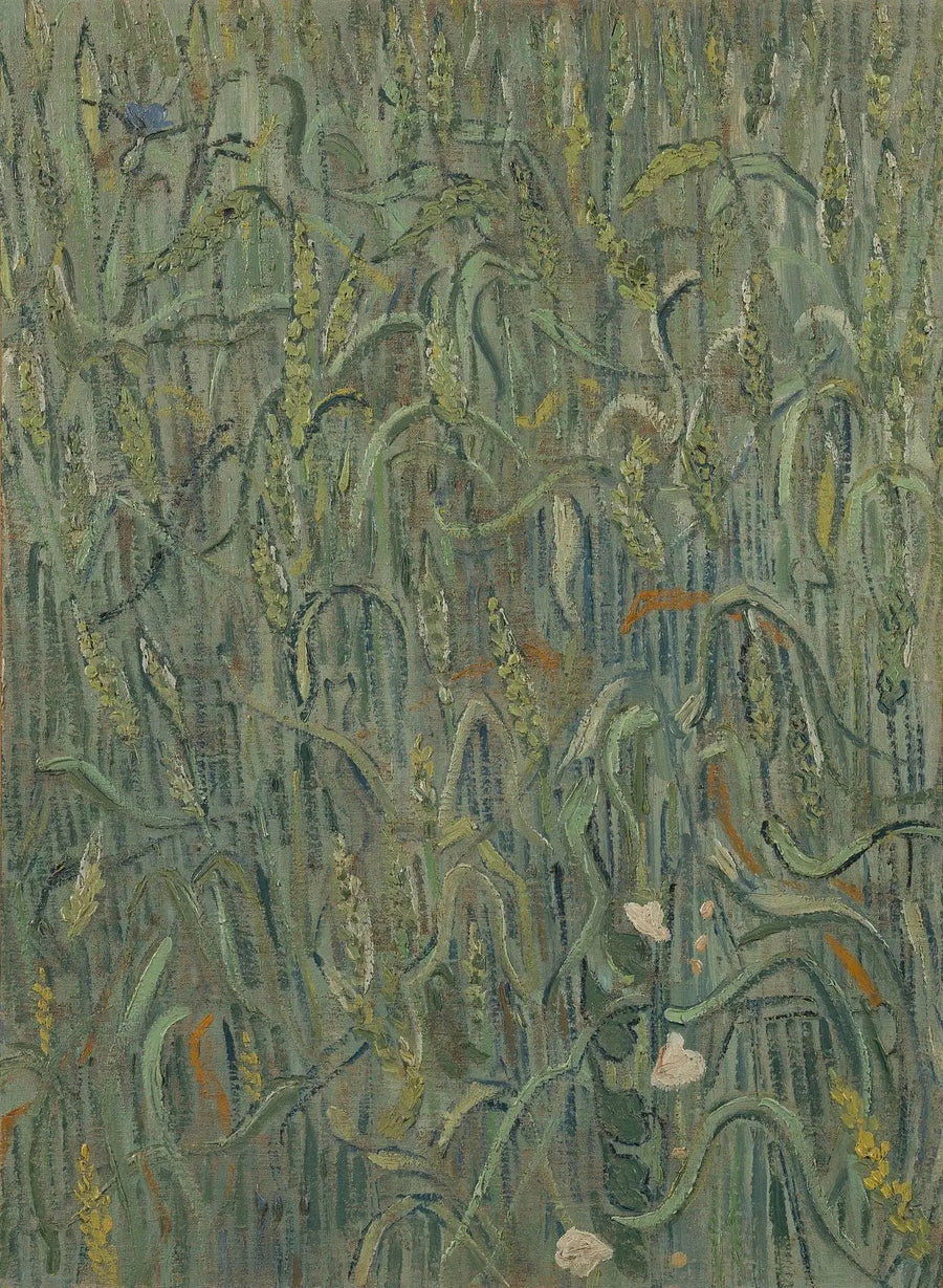 Buğday başakları - Vincent van Gogh