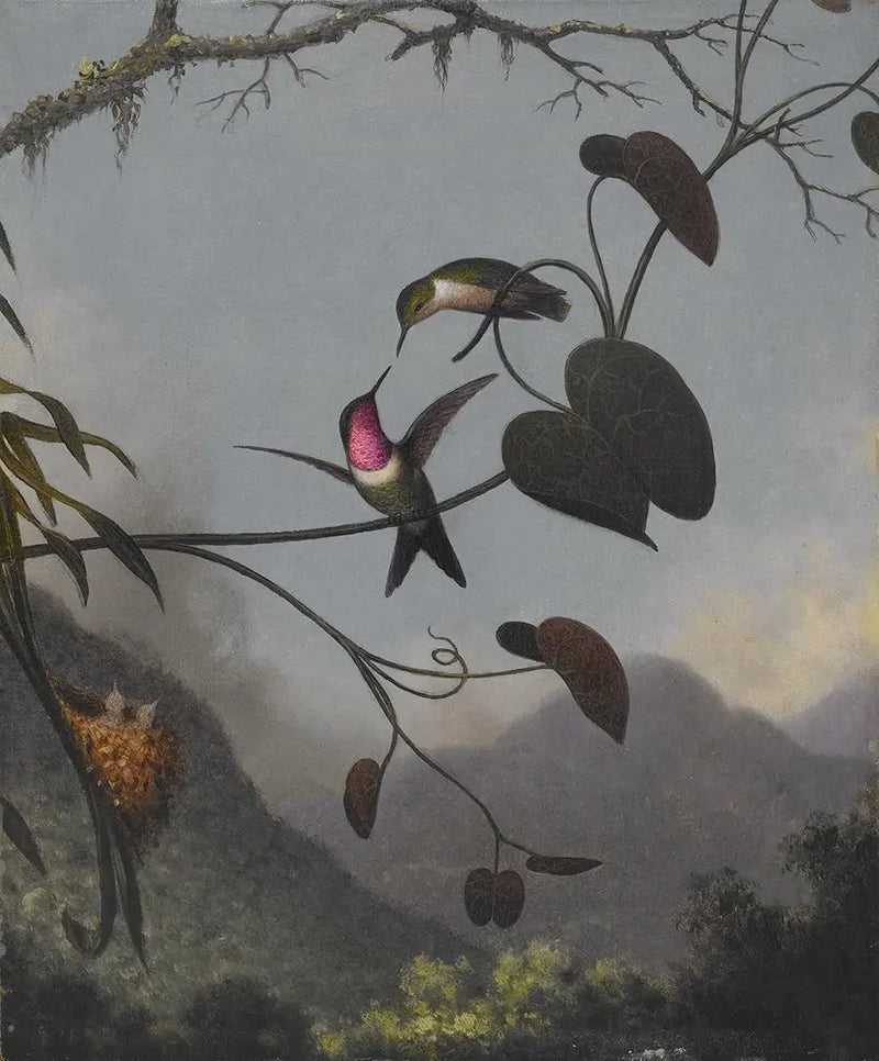 Ametist Ahşap Yıldızı - Martin Johnson Heade