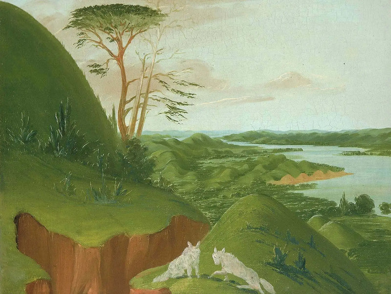 İlk planda beyaz kurtlarla nehir falezleri, Haut-Missouri - George Catlin