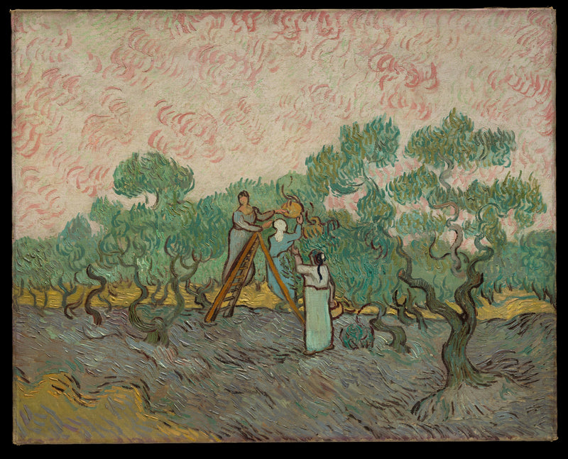 Zeytin toplayan kadınlar - Vincent van Gogh