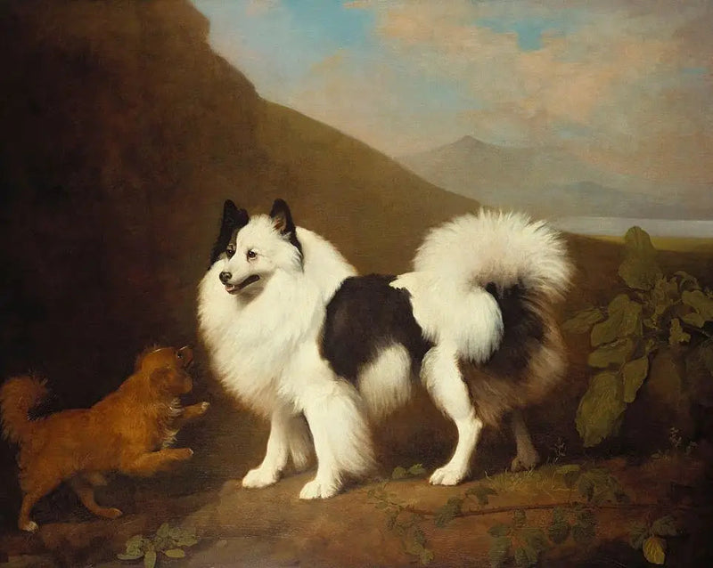 Fino ve Tiny - George Stubbs