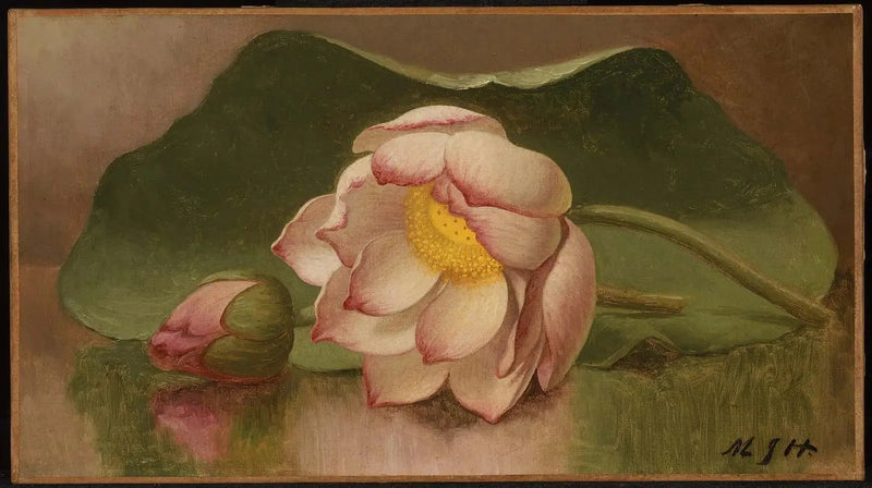 Lotus Çiçeği - Martin Johnson Heade