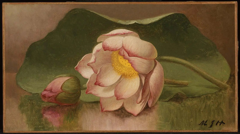 Lotus Çiçeği - Martin Johnson Heade