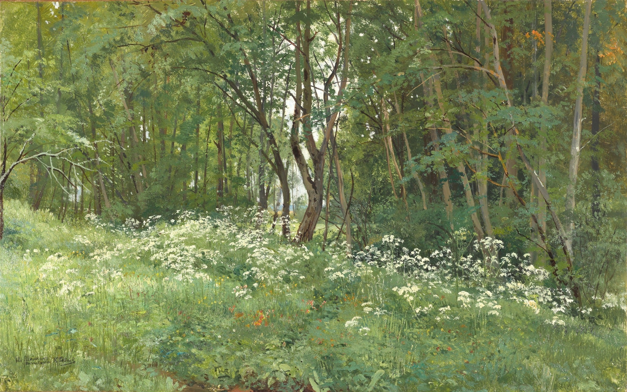 Fleurs à la lisière de la forêt - Ivan Chichkine
