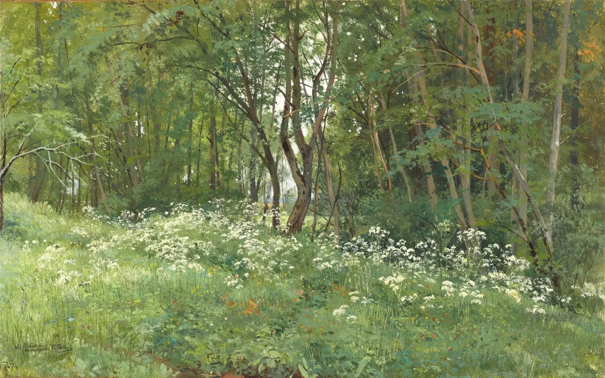 Fleurs à la lisière de la forêt - Ivan Chichkine - Alpha Reproduction