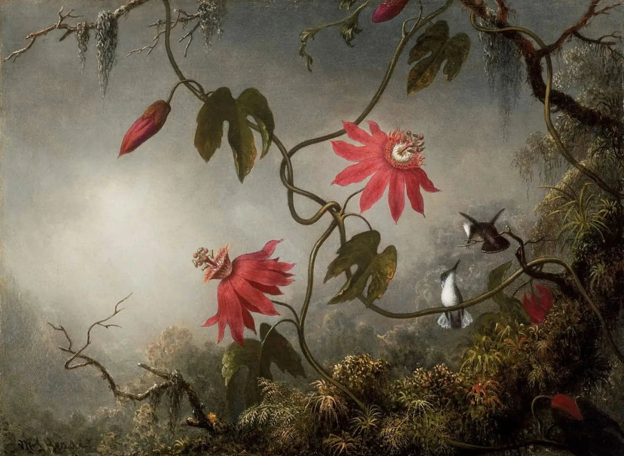 Tutku Çiçekleri ve Kolibriler - Martin Johnson Heade