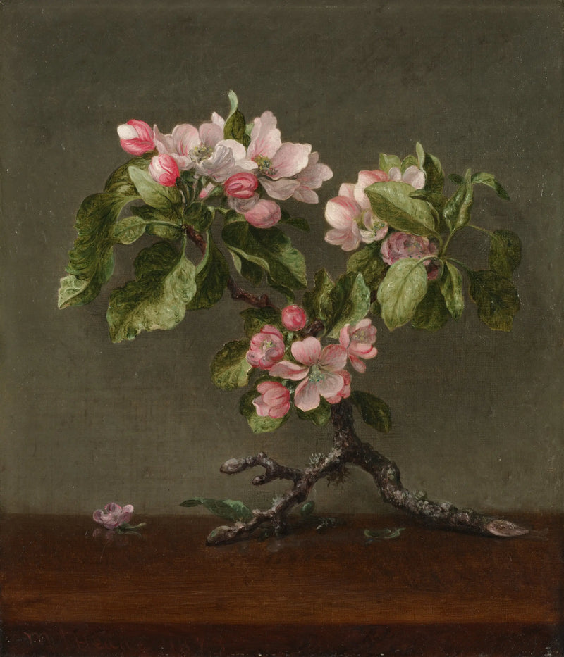 Elma Çiçekleri - Martin Johnson Heade