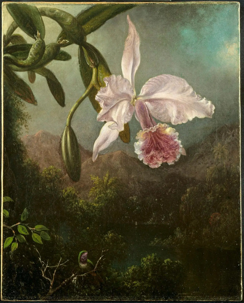 Orkide Çiçekleri - Martin Johnson Heade