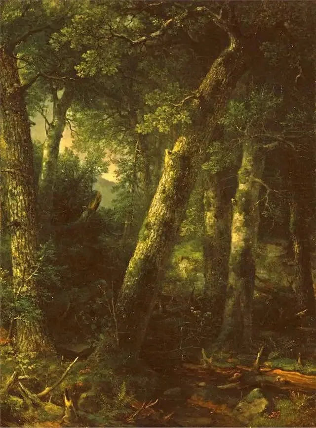 Sabah ışığında orman - Asher Brown Durand
