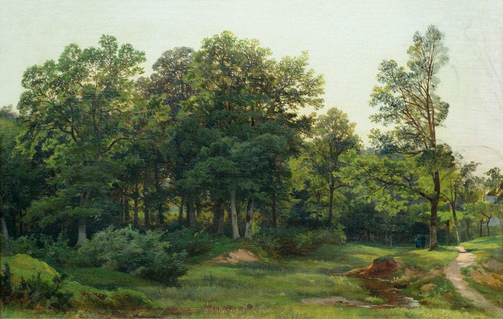 Forêt de feuillus - Ivan Chichkine