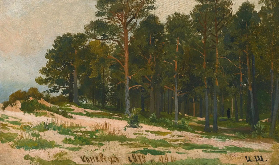 Çam Ormanı - Ivan Chichkine