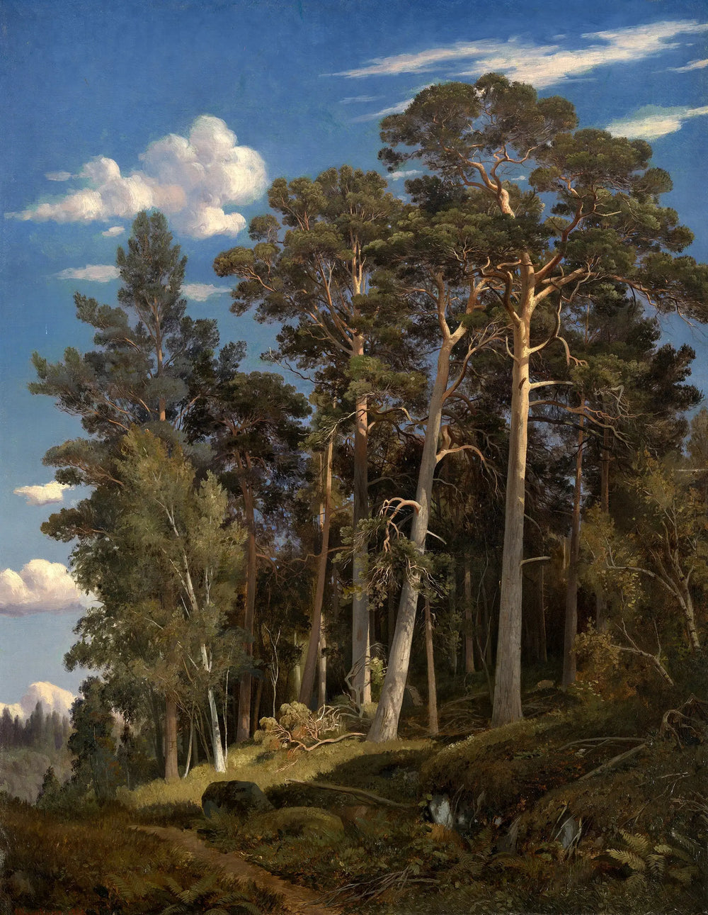Forêt de pins - Ivan Chichkine - Alpha Reproduction