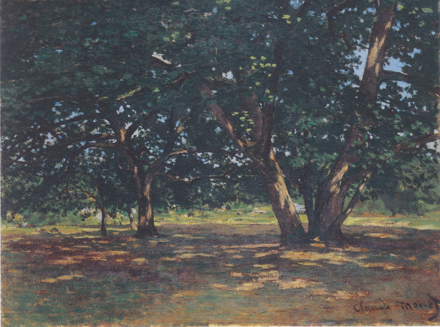 Fontainebleau Ormanı W59 - Claude Monet